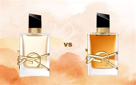 Ysl Libre Vs Gucci Guilty 